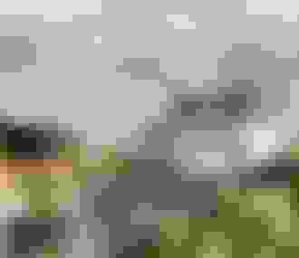 Extérieur%252C vue sur le rooftop le Perchoir Ménilmontant