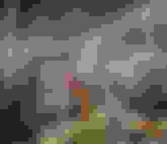 Vue sur l&%2523039;entrée décorée du restaurant Chez Monix