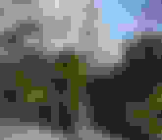 Façade et terrasse du restaurant La Closerie des Lilas%252C Paris