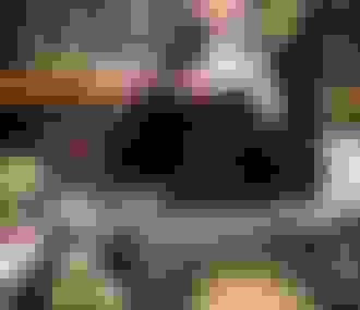 Femme dégustant des fruits de mer au restaurant%252C Vesper%252C Paris