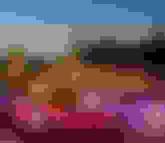 Rosa Bonheur sur Seine