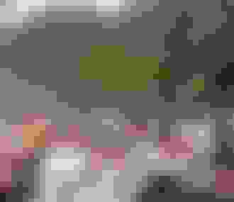 Foule de coureurs du Marathon de Paris dans le Bois