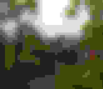 Rando pedestre Parc Naturel Regional du Gatinais francais 2010.