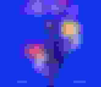 Affiche du spectacle "Les Demoiselles de Rochefort"