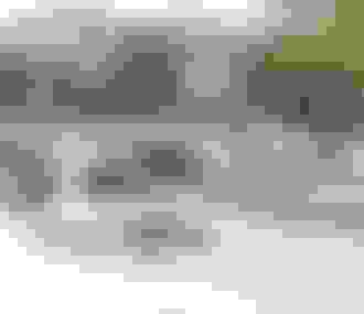 Vedettes du Pont Neuf